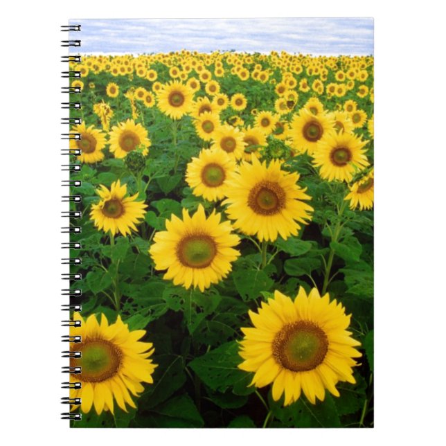 Sonnenblumen Notizblock (Vorderseite)