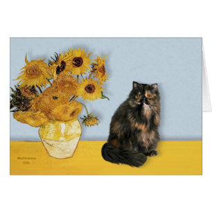 Sonnenblumen - Persische Kalico-Katze