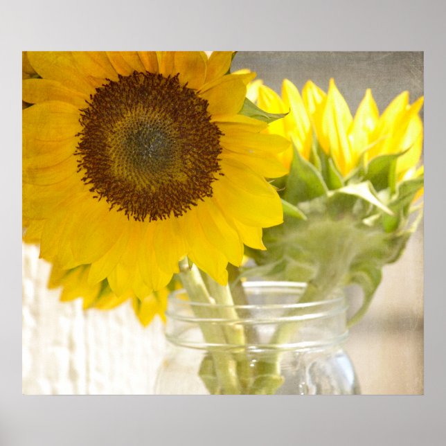 Sonnenblumen Poster (Vorne)