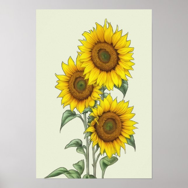 Sonnenblumen-Poster Poster (Vorne)