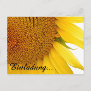 Sonnenblumen Postkarte