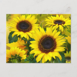 Sonnenblumen Postkarte