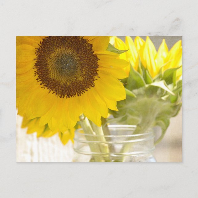 Sonnenblumen Postkarte (Vorderseite)
