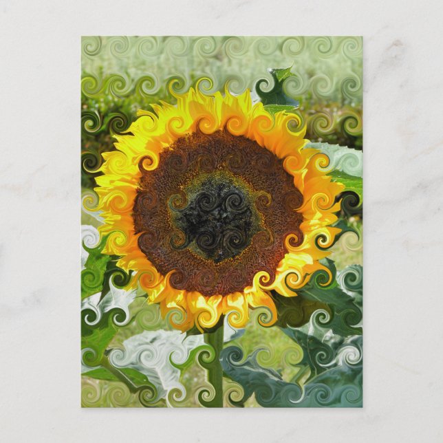 SONNENBLUMEN POSTKARTE (Vorderseite)