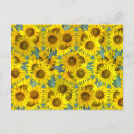 Sonnenblumen Postkarte