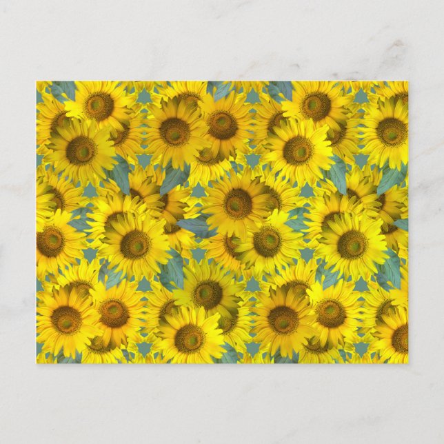 Sonnenblumen Postkarte (Vorderseite)