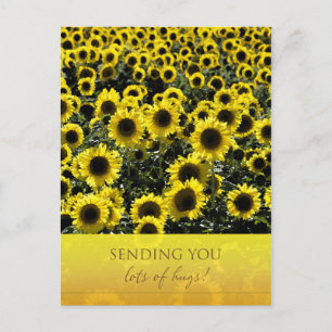 Sonnenblumen Postkarte / Versand von vielen Schläg