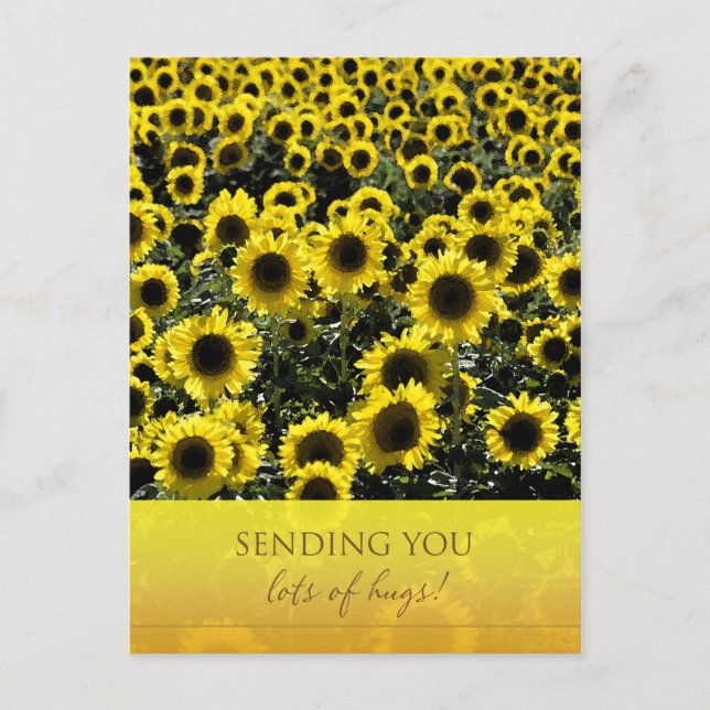 Sonnenblumen Postkarte / Versand von vielen Schläg (Vorderseite)
