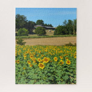 Sonnenblumen Puzzle