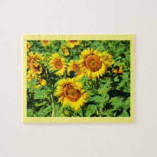 Sonnenblumen Puzzle