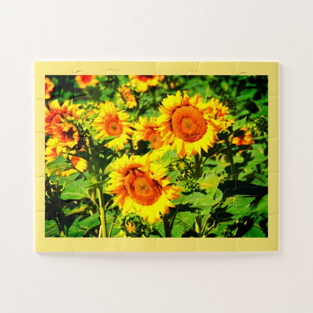 Sonnenblumen Puzzle (Horizontal)