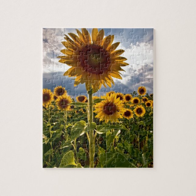 Sonnenblumen Puzzle (Vertikal)