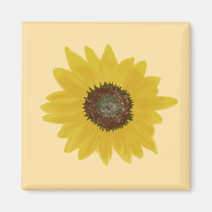 Sonnenblumen-Quadrat-Magnet Magnet