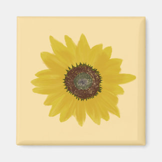 Sonnenblumen-Quadrat-Magnet Magnet