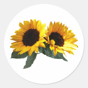 Sonnenblumen Runder Aufkleber