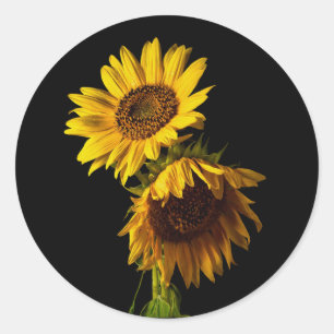 Sonnenblumen runder aufkleber