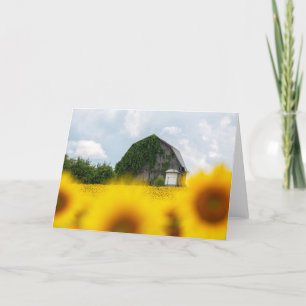 Sonnenblumen Scheunen Blanko Grußkarte Dankeskarte