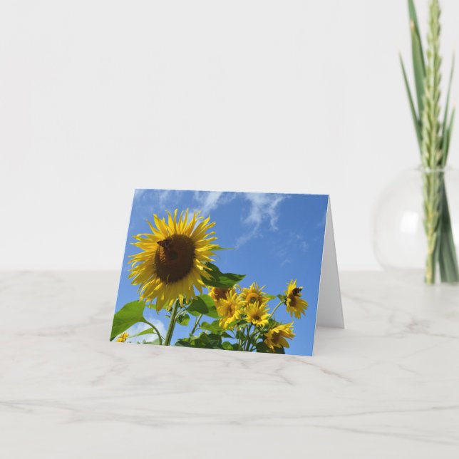Sonnenblumen & Schmetterlinge Karte (Vorderseite)