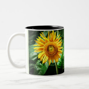 Sonnenblumen-Schönheit Zweifarbige Tasse