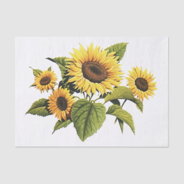 Sonnenblumen Seidenpapier (Vorderseite)