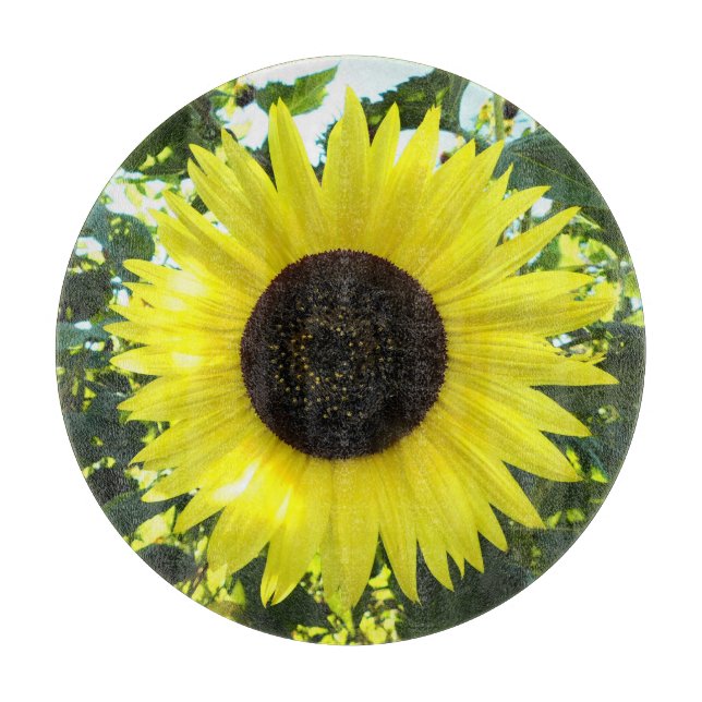 Sonnenblumen Sensations Glass Cutting Board Schneidebrett (Vorderseite)