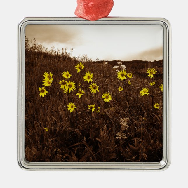 Sonnenblumen Silbernes Ornament (Vorne)