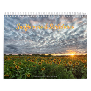 Sonnenblumen & Skizzen Kalender