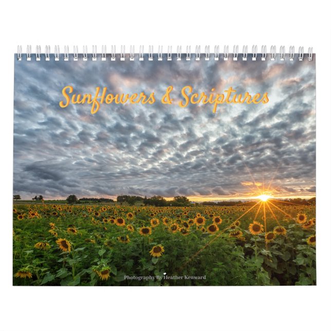 Sonnenblumen & Skizzen Kalender (Titelbild)