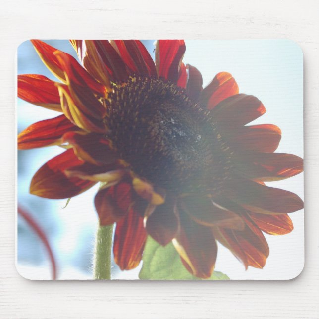Sonnenblumen Sommer Mousepad (Vorne)