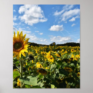 Sonnenblumen Sommer, Virginia Poster