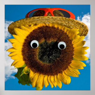 Sonnenblumen Sommerspass Poster