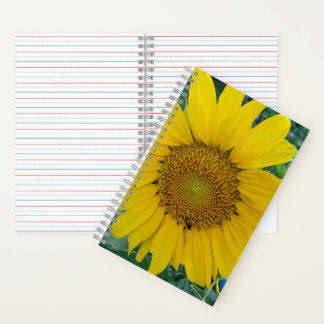 Sonnenblumen - Sonnenblumen-Foto-Notebook Notizbuch