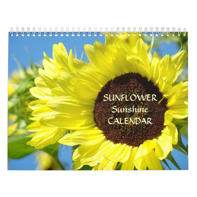 SONNENBLUMEN SONNENSCHIRM Blume Kalender (Titelbild)