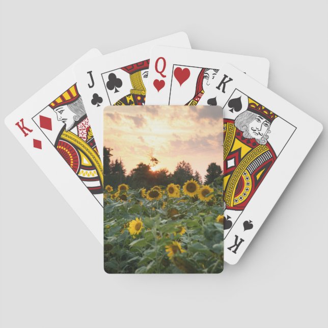 Sonnenblumen Spielkarten (Rückseite)