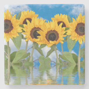 Sonnenblumen Steinuntersetzer