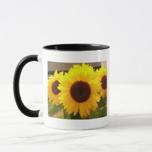 Sonnenblumen Tasse