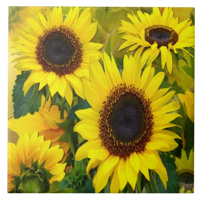 Sonnenblumen Tile Fliese (Vorderseite)