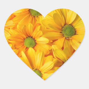 Sonnenblumen-Träume-Aufkleber, die zurücklächeln Herz-Aufkleber