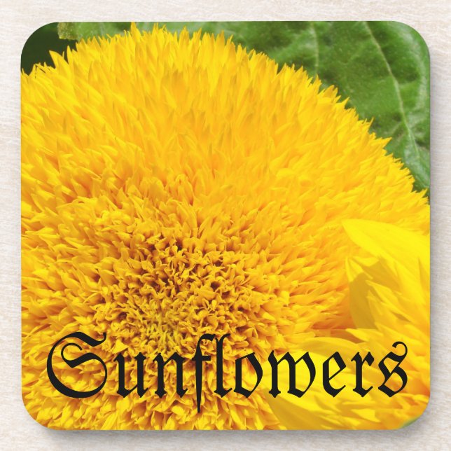 Sonnenblumen trinken Coasters Set Holidays Sun Blu Untersetzer (Vorderseite)