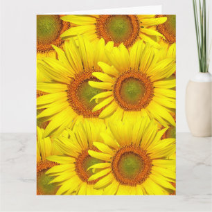 SONNENBLUMEN ÜBERSICHTEN BIRTHDAY GREETING CARD KARTE