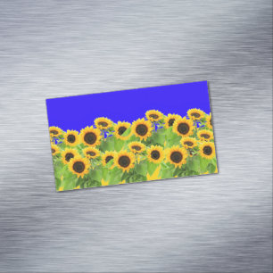 Sonnenblumen Ukrainische Flaggenfarben unterstütze Magnetische Visitenkarte