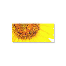 Sonnenblumen und Bienen-Canvas drucken
