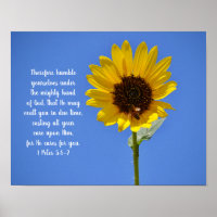 Sonnenblumen und Bienenbriefe