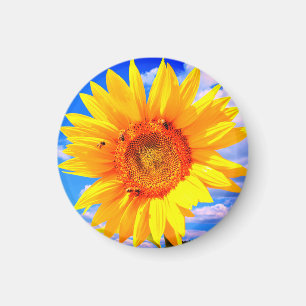Sonnenblumen und Bienenmagazin Magnet