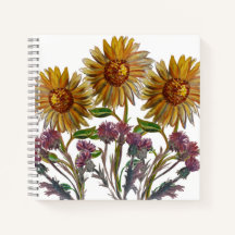 Sonnenblumen und -disteln