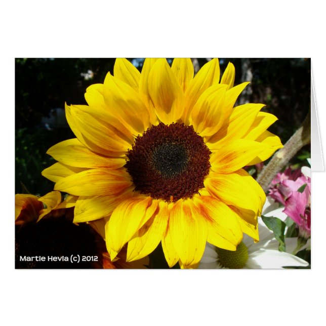 Sonnenblumen und Freunde Bouquet (Vorderseite (Horizontal))