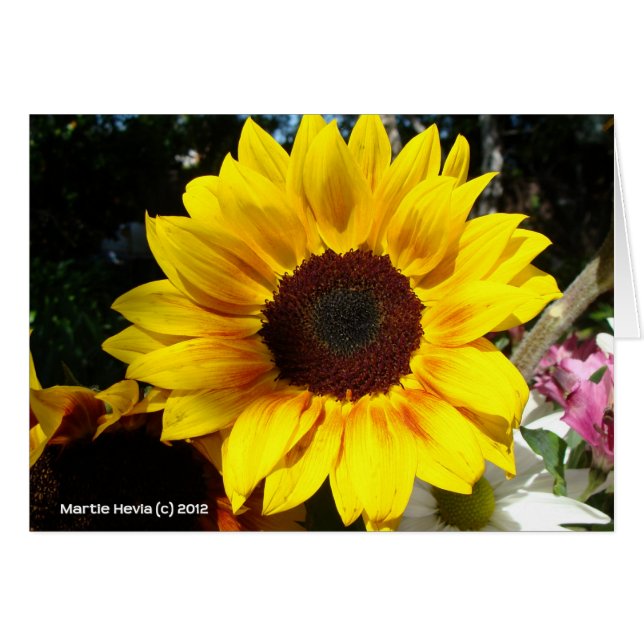 Sonnenblumen und Freunde Bouquet (Vorderseite (Horizontal))