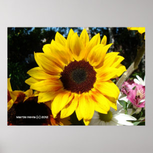 Sonnenblumen und Freunde Bouquet Poster