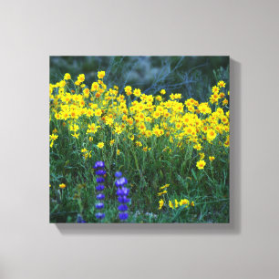 Sonnenblumen und Lavendel Leinwanddruck