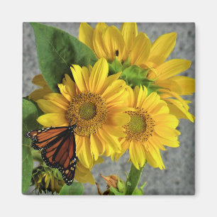 Sonnenblumen und Monarch Butterfly-Kühlschrankmag Magnet